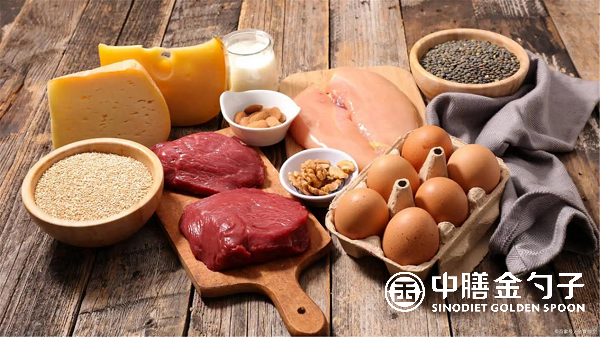 學(xué)校食堂承包：打造健康營(yíng)養(yǎng)的飲食環(huán)境.png